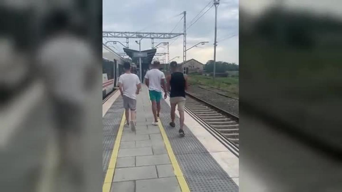 Tres jóvenes sin billete agreden a un revisor e un tren en Flaçà