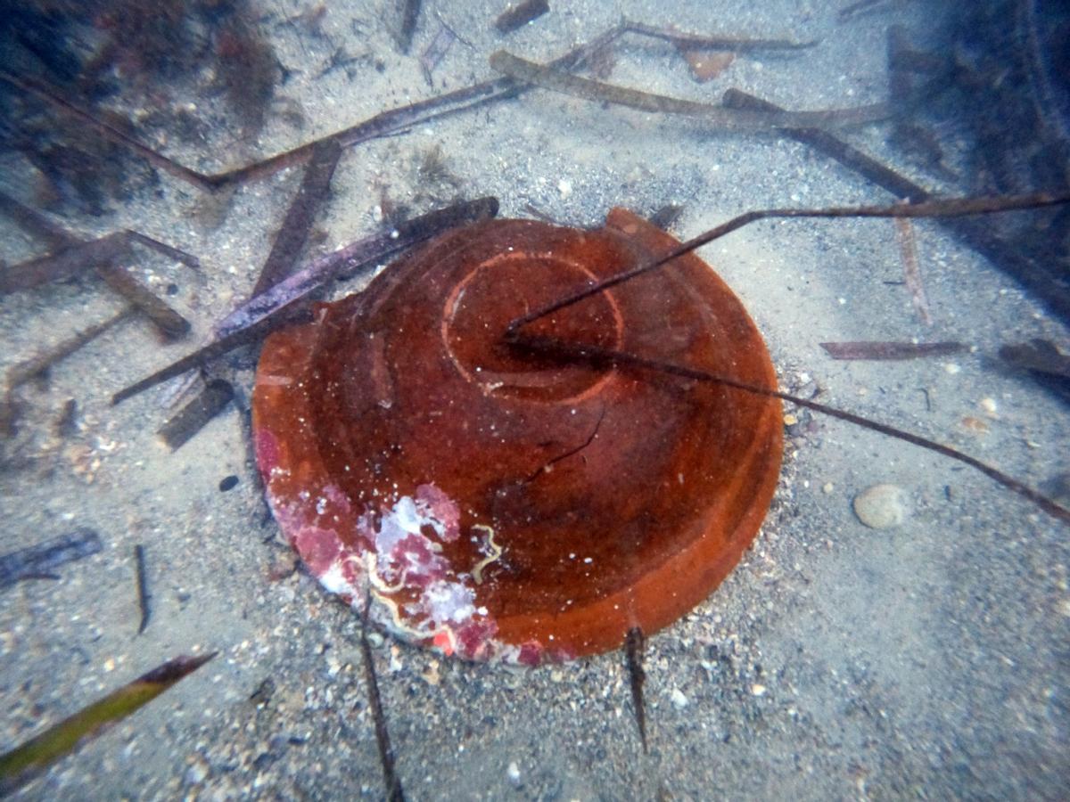 Restos de cerámica encontrados en la última prospección.