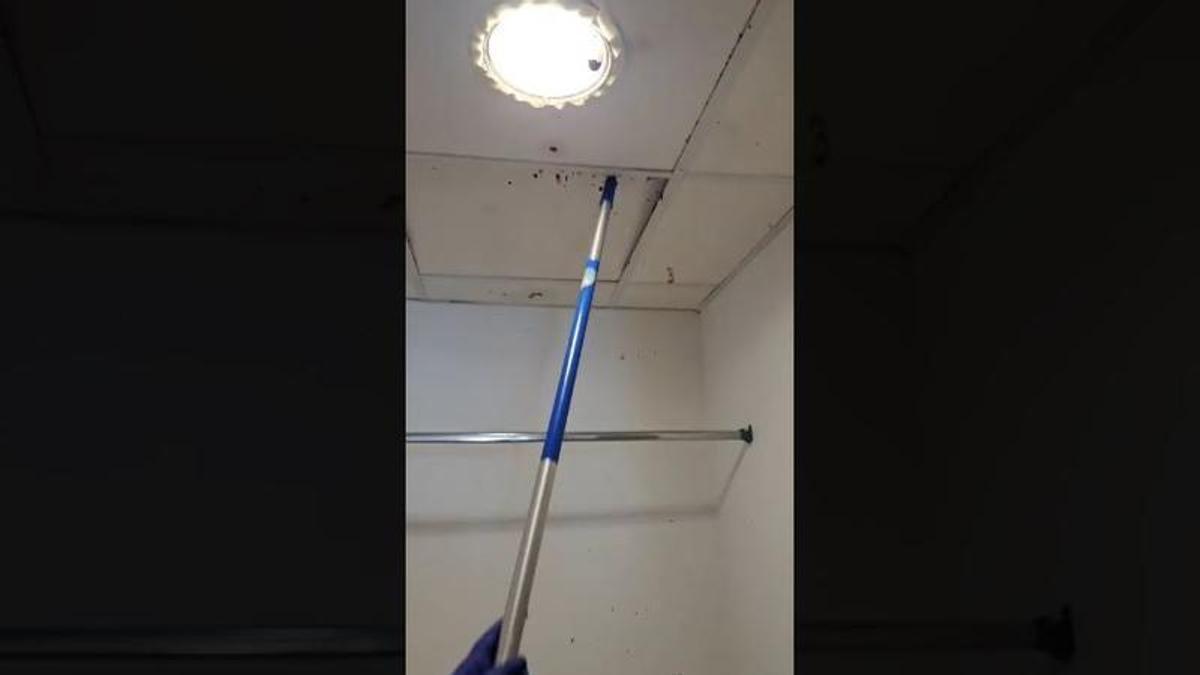 Quejas por ratones y cucarachas en la residencia para personas con dispacidad CAMP Santa Faz de Alicante