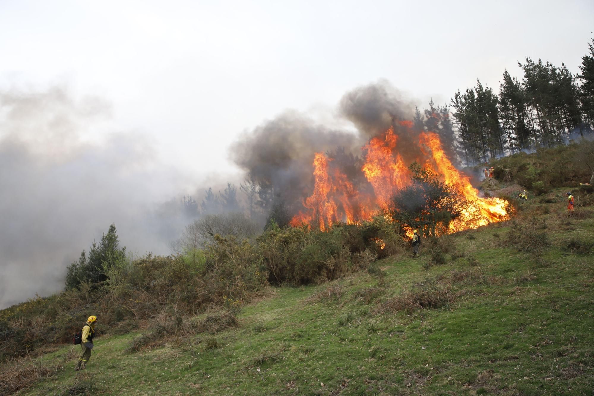 incendios-asturias-9.jpg