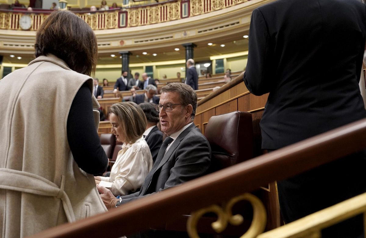 Alberto Núñez Feijóo, en el Congreso