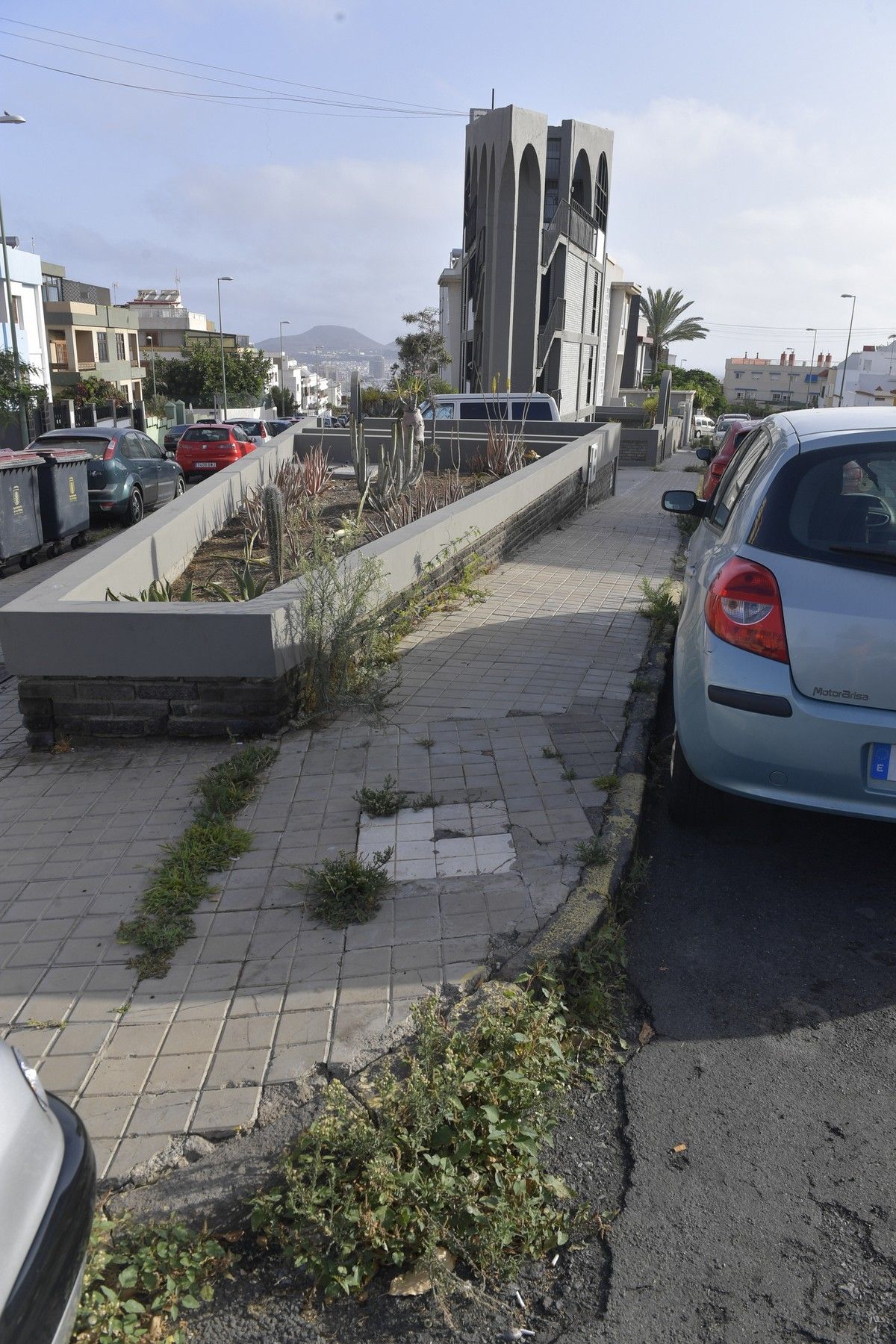 Hierbas en aceras de las calles de Escaleritas