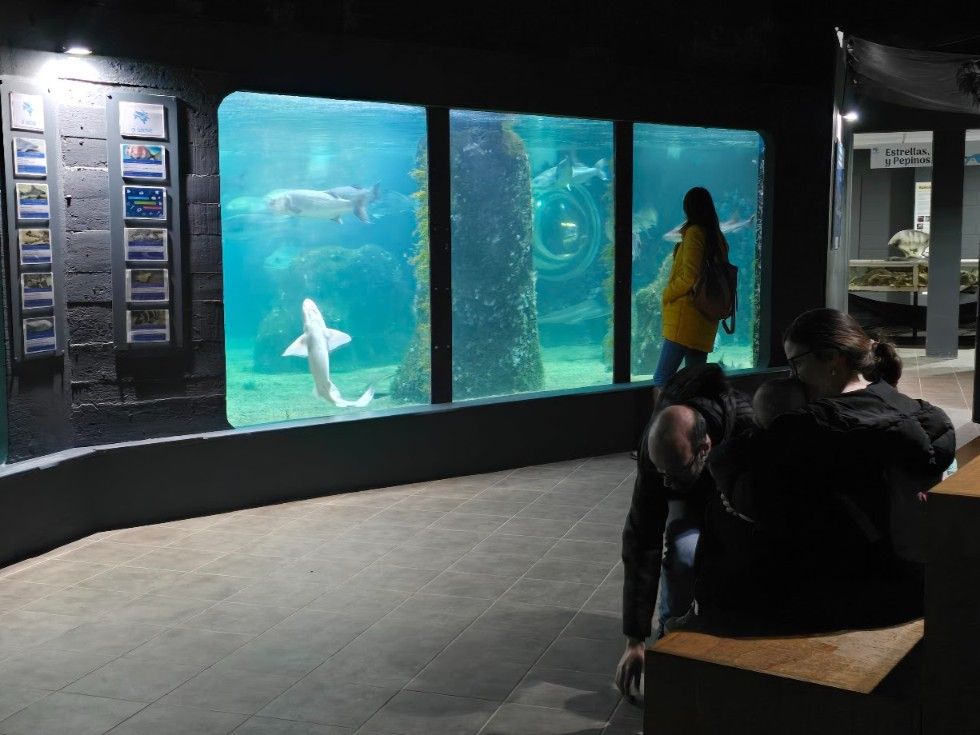 Las instalaciones del Acuario O Grove, en Punta Moreiras.