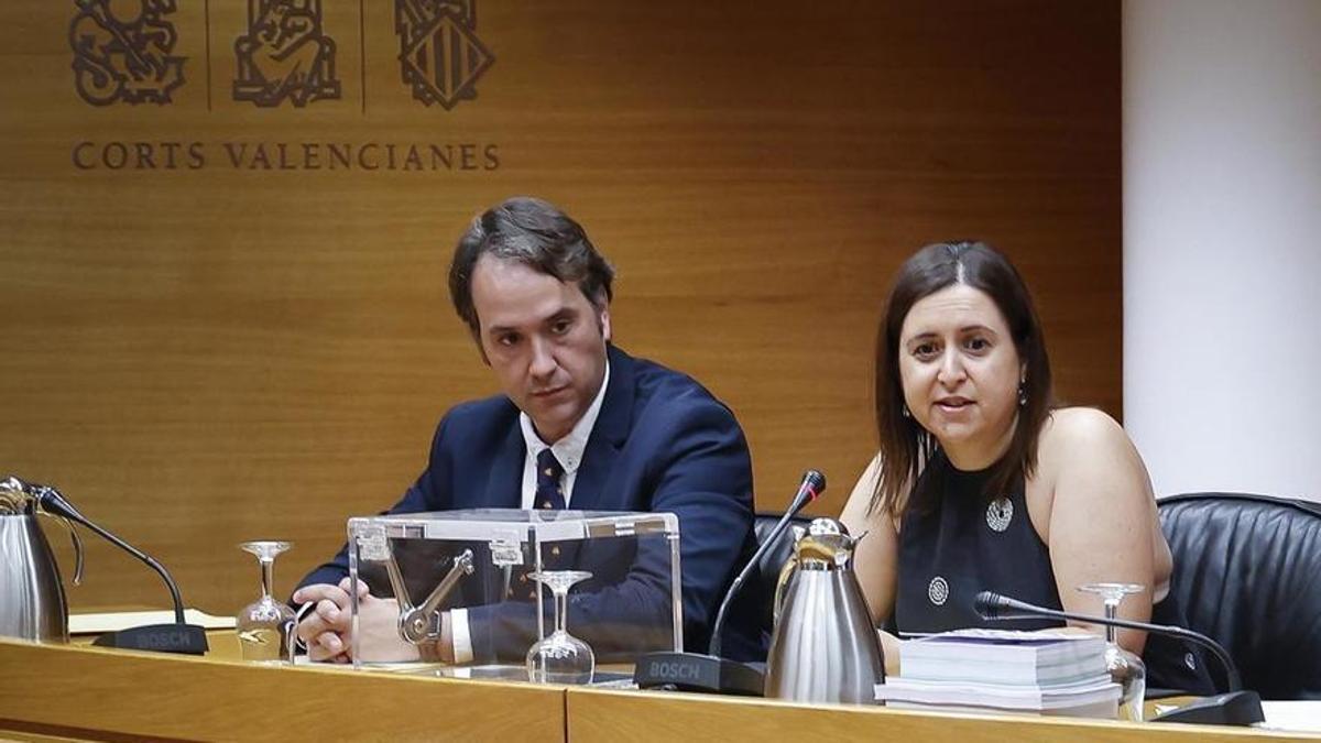 El concejal de Vox en Burriana y diputado autonómico, Jesús Albiol, y Rosario Escrig en las Corts.