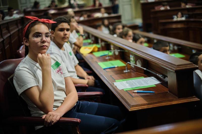 Pleno Infantil en el Parlamento de Canarias 61 alumnos ejercerán de diputados por un dia  | 09/03/2020 | Fotógrafo: Andrés Gutiérrez Taberne