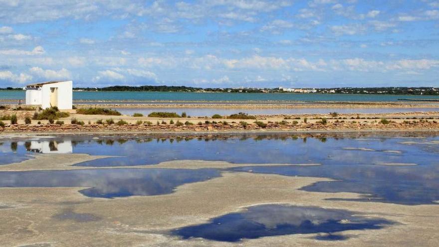 Formentera se promociona como una isla sostenible en la WTM virtual