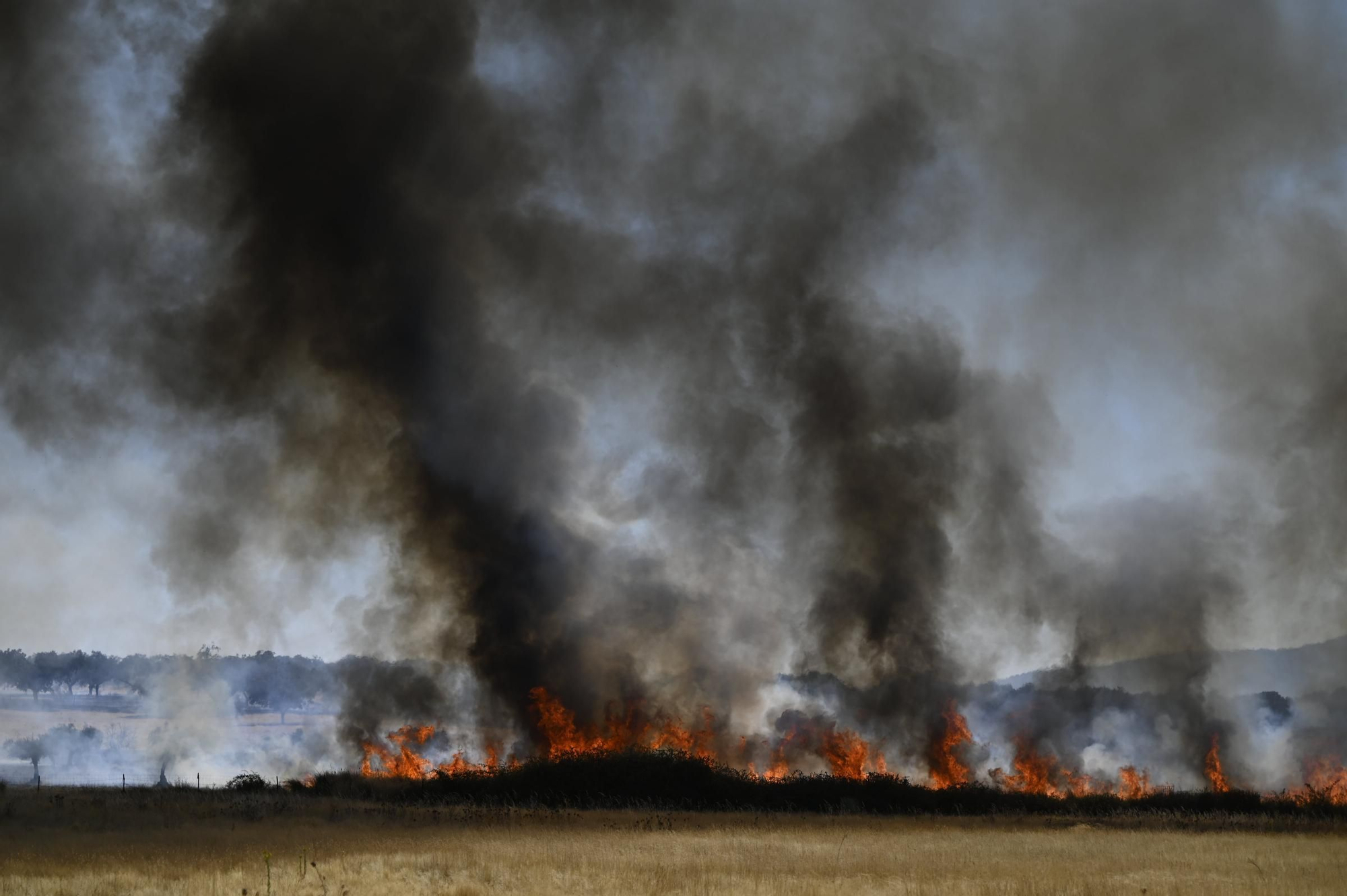Así se está desarrollando el incendio de nivel 1 entre Arroyomolinos y Alcuéscar