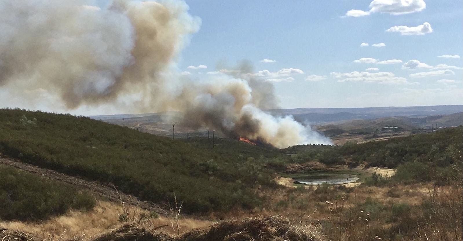 Incendio forestal en Cañaveral