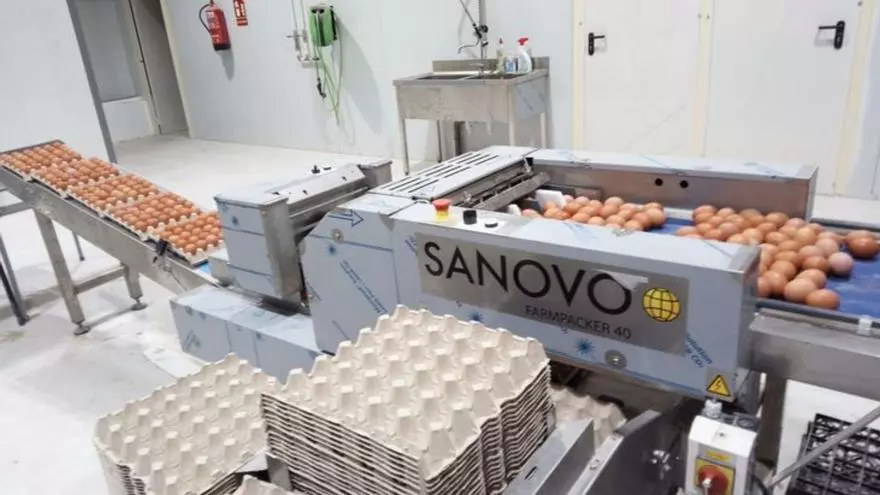 ¡Para huevos, los de Codo!
