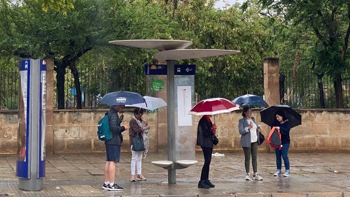 Ciudadanos de Palma se protegen de la lluvia en una parada de autobús