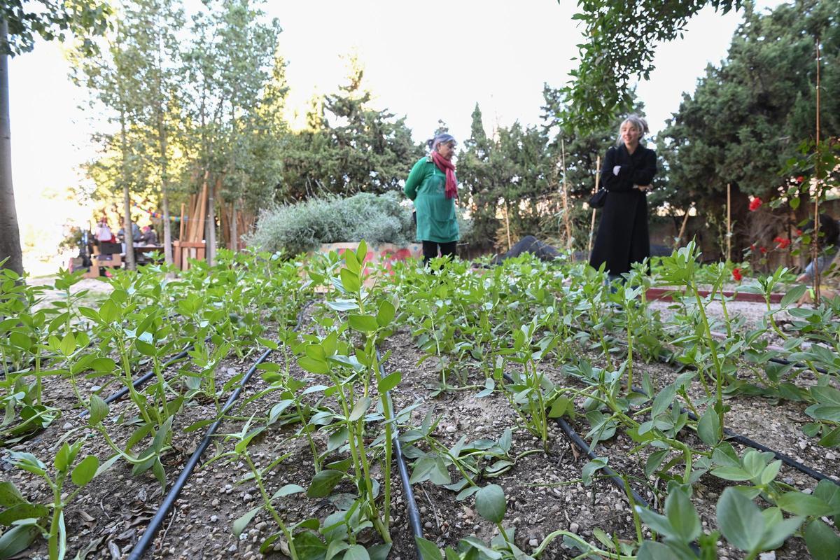 I Feria de Entidades en el Solar Comunitario del barrio Virgen del Remedio