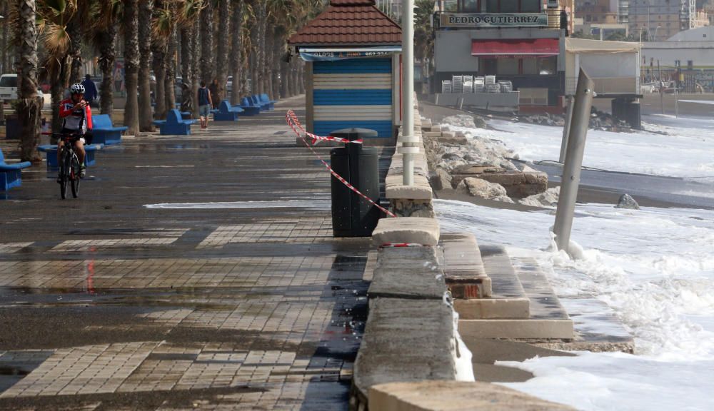 Málaga capital vive una jornada marcada por el fuerte viento, que ha afectado a playas y paseos marítimos y ha obligado a cortas las comunicaciones marítimas con Melilla.