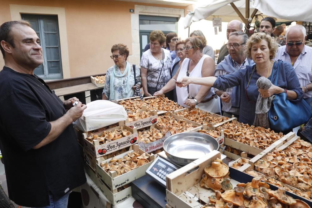 Fira del Bolet de Llagostera