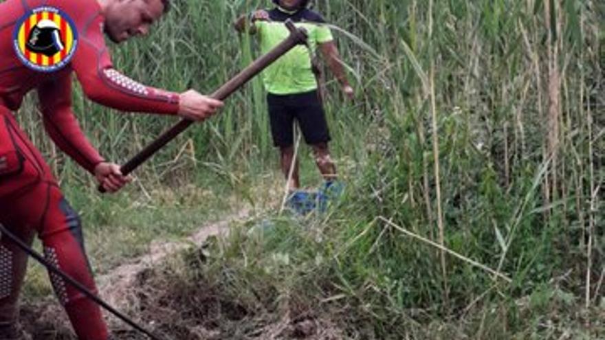 Rescatan un caballo que había caído a la marjal de Oliva