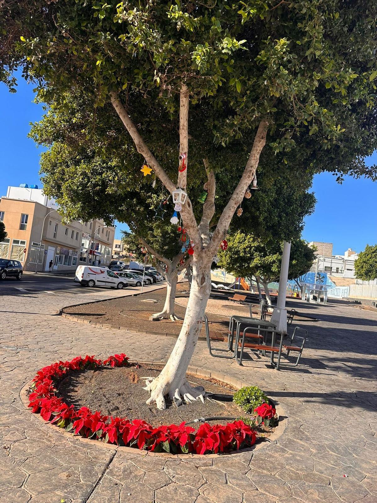 Escolares de Arrecife decoran los árboles de sus barrios Escolares de Arrecife decoran los árboles de sus barrios