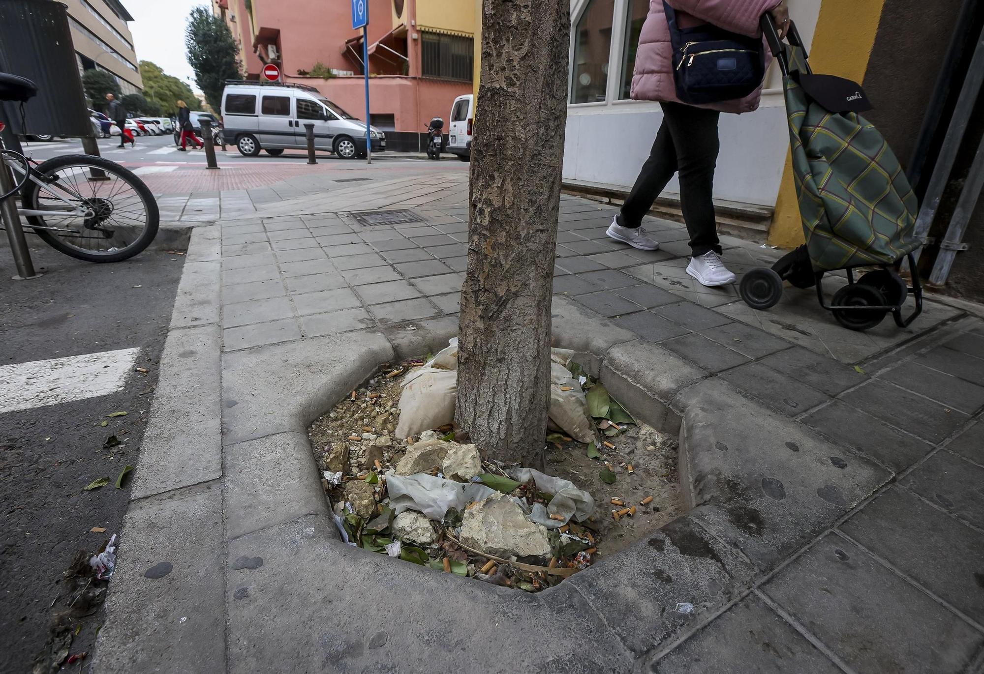 Las palomas y la suciedad toman el barrio de Benalúa