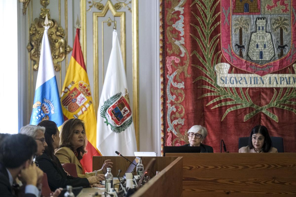 Pleno extraordinario remodelación gobierno | 09/04/2026