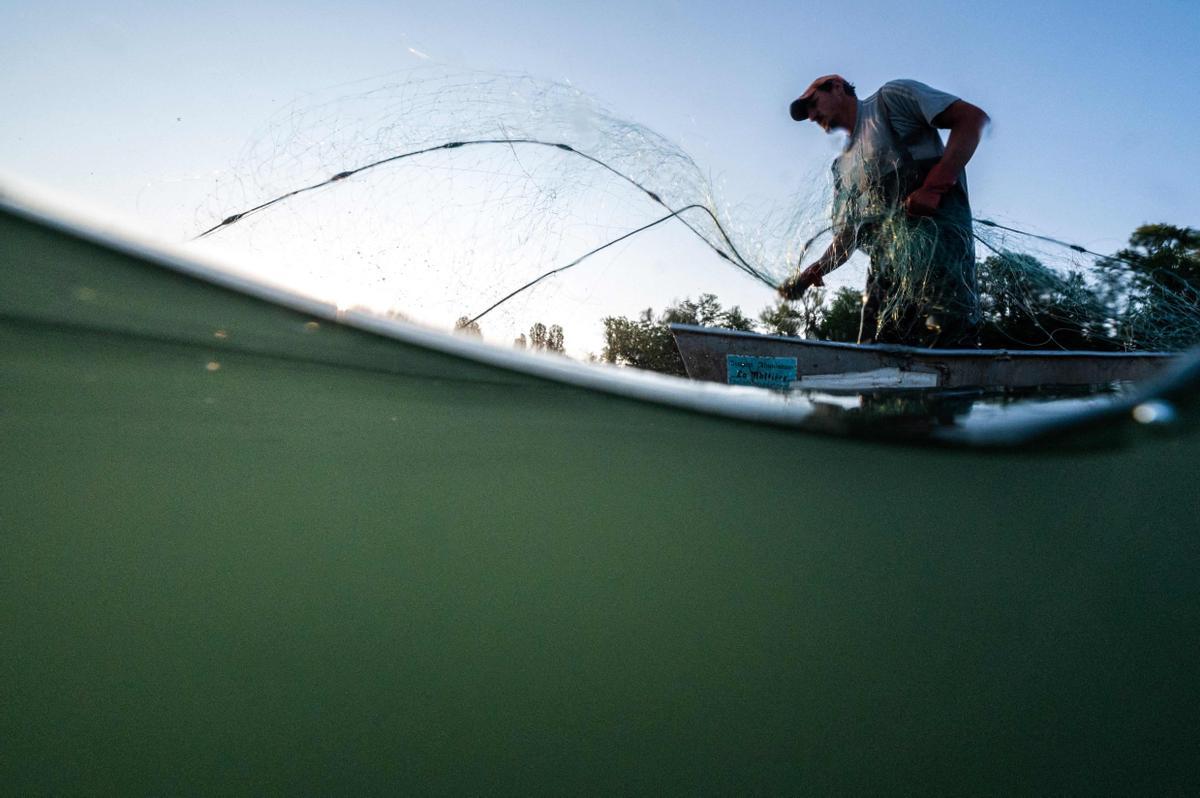 Jeremy Fuchs, el único pescador profesional del río Rin