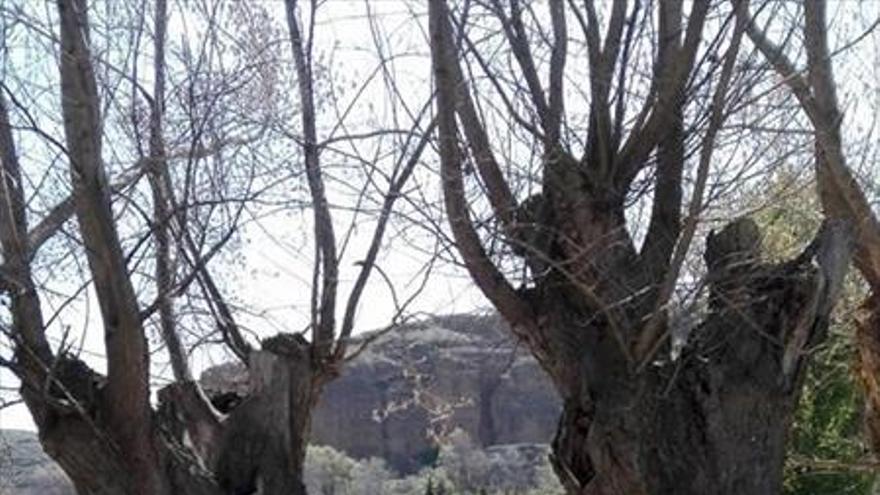 Un grupo de voluntarios recupera el entorno del río Cámaras