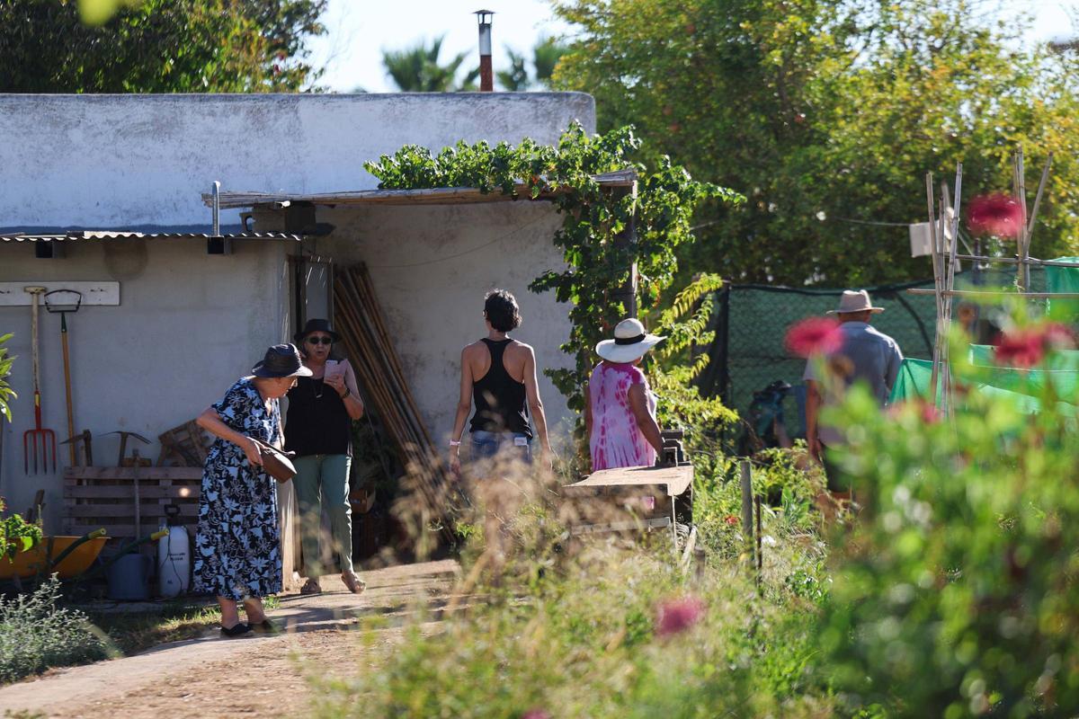 L’Hort Comunitari de Sa Llavanera: celebración de la agricultura para todas las edades L’Hort Comunitari de Sa Llavanera: celebración de la agricultura para todas las edades