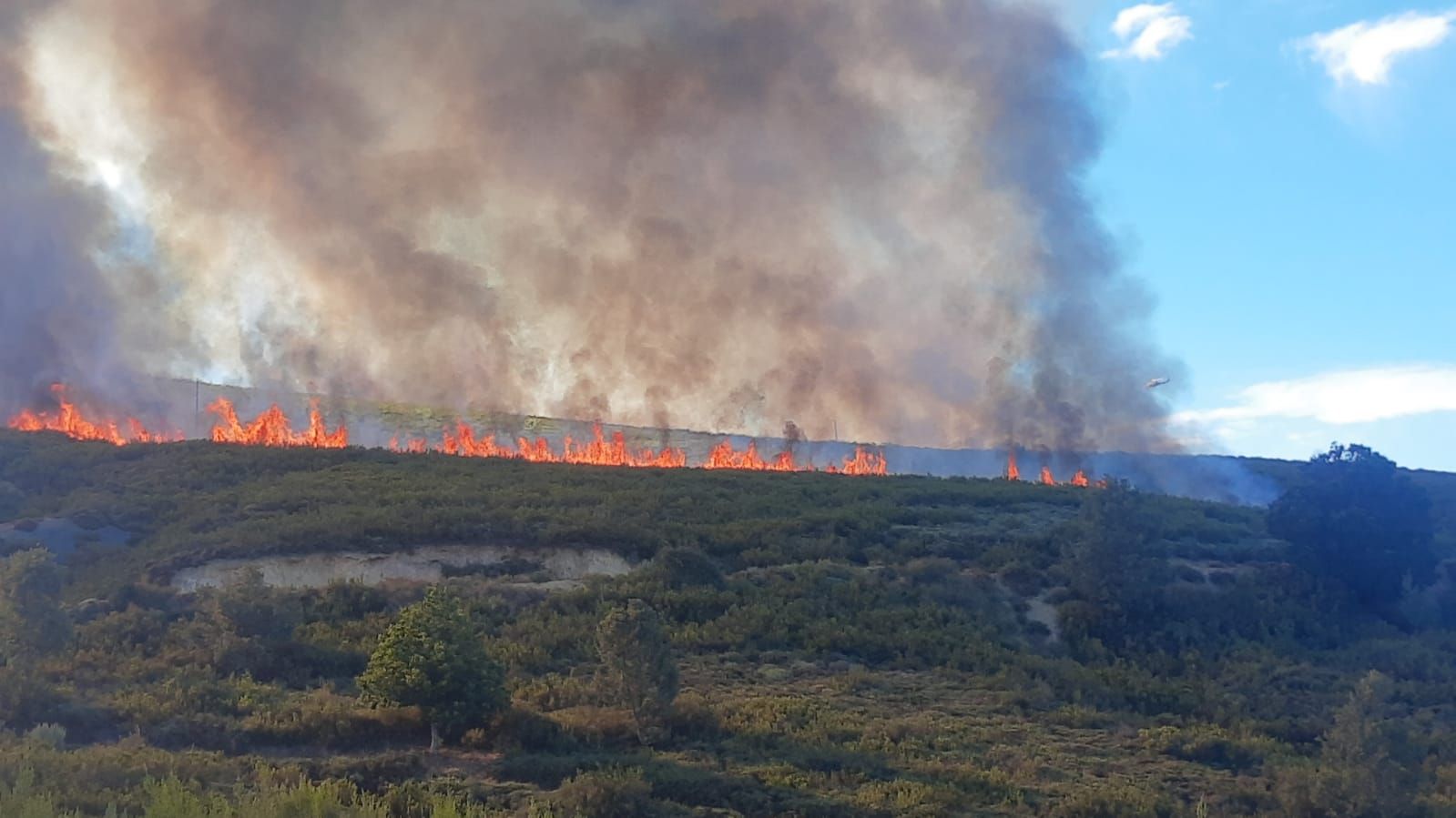 GALERÍA | El incendio en Pedralba de la Pradería, en imágenes