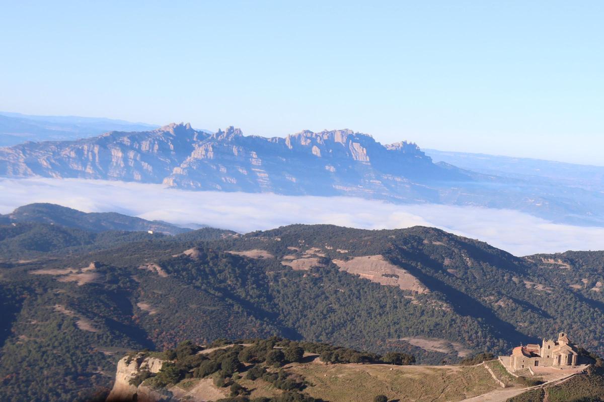 Los agentes rurales supervisan con helicóptero la zona cero de la peste porcina africana