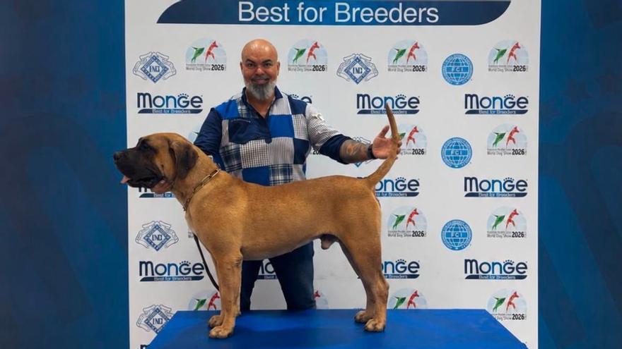 Guadanet Gofio, el Presa Canario elegido entre los mejores p