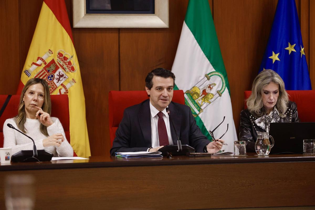 Pleno Ayuntamiento de Córdoba febrero. Ayuntamiento Manifestación de la plantilla de Hitachi, Policía local, La Comisión Coordinadora de la Plataforma de Afectados por los premios de jubilación en el Ayuntamiento de Córdoba, que afecta a más de 250 trabajadores jubilados
