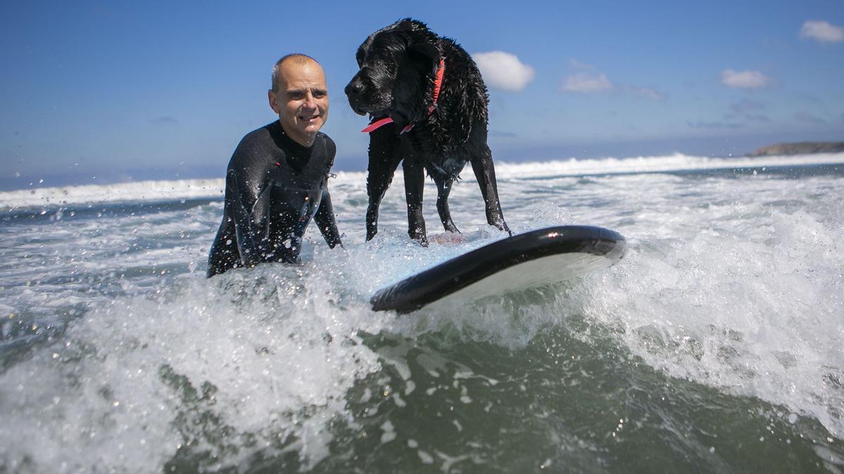 Campeonato de surf canino de Salinas