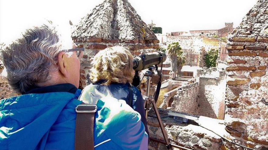 El festival de las aves tiene garra