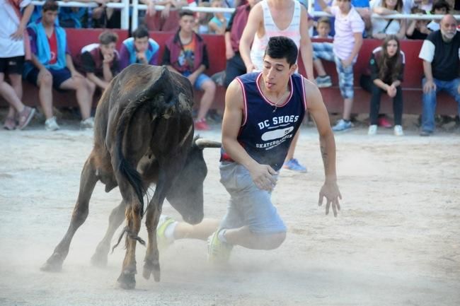 Les vaquetes de la festa major de Santpedor