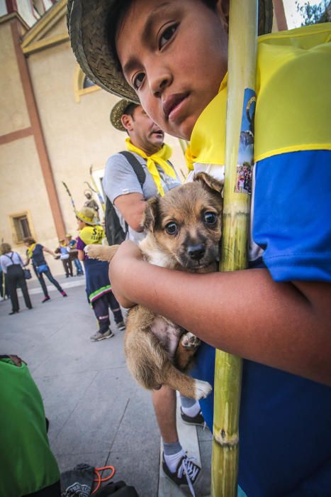 Romería en Rojales