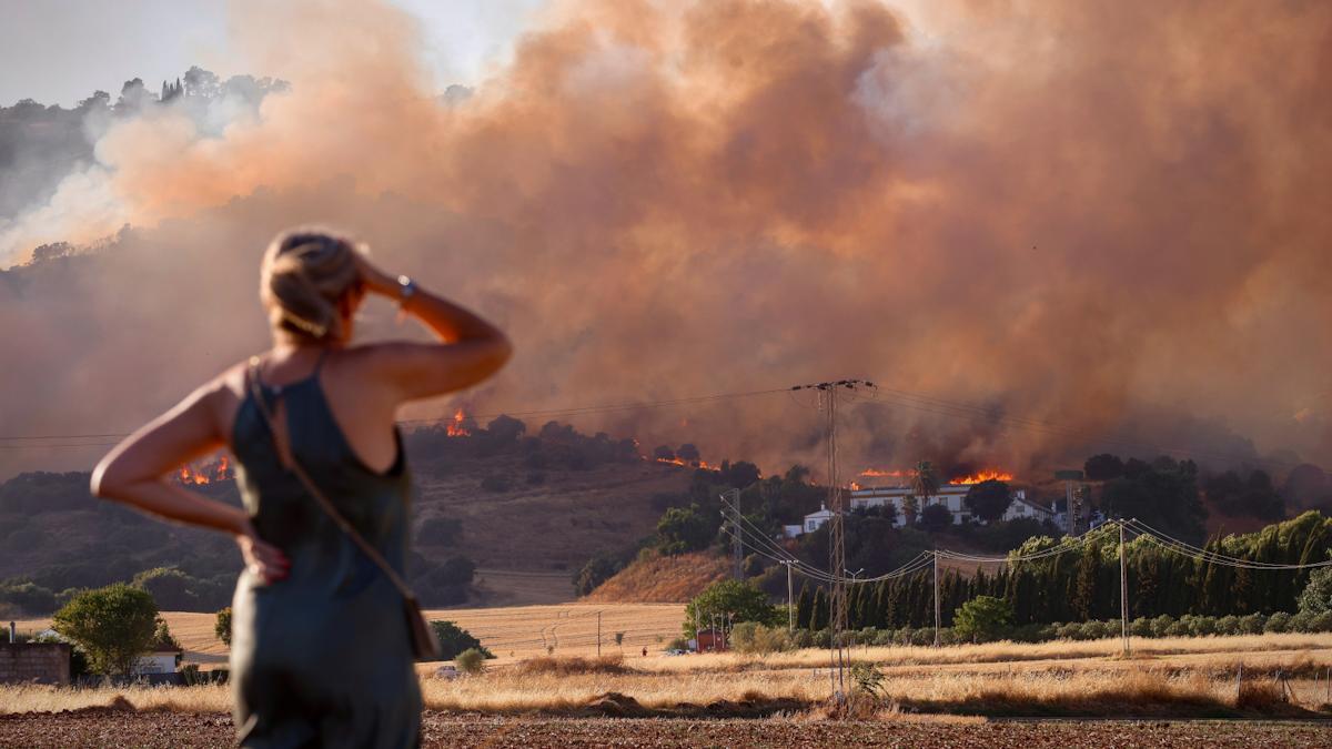 Incendio forestal junto al Castillo de la Albaida registrado en julio del año pasado.