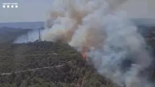 Detenido por provocar un incendio en La Figuera que quemó más de 17 hectáreas de bosque
