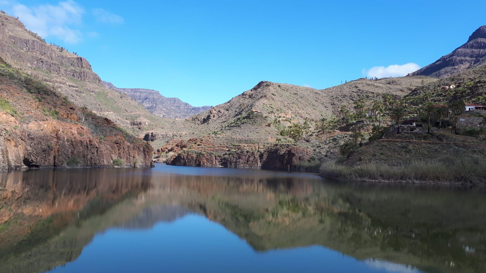 La primavera en Gran Canaria