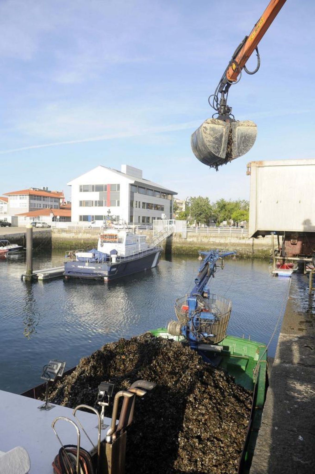 Galicia acelera el proceso de adaptación al método químico de control de biotoxinas impuesto por Europa