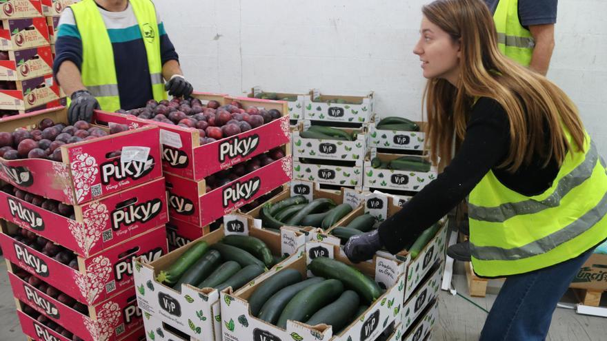 El Banc dels Aliments fa una crida a la col·laboració al Gran Recapte davant la incertesa de recursos del 2024