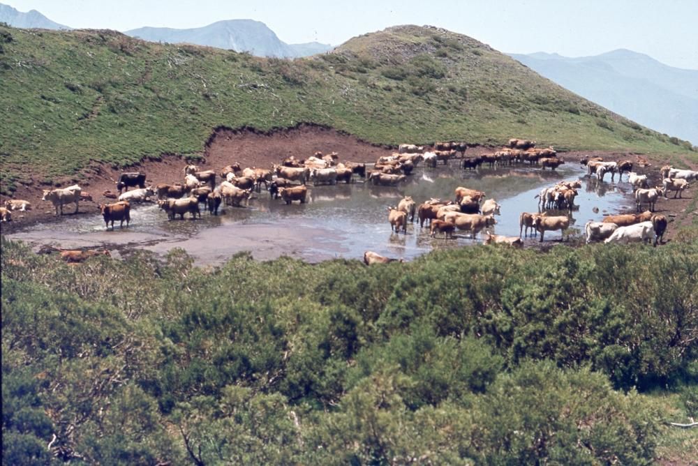 Fotografías de montaña donadas al Pueblo de Asturias