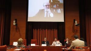 Puigdemont no es connecta al Parlament; Lluís Puig, sí