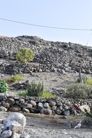 Yacimiento en El Pajar, Mogán