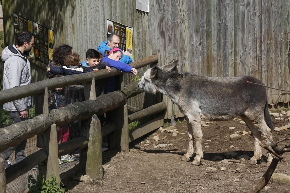 La Reconquista de Vigozoo