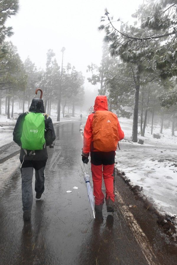 Visita a la cumbre nevada