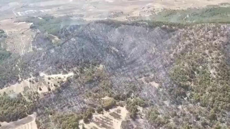 Así se encuentra la zona afectada por el incendio forestal de Bullas y Mula