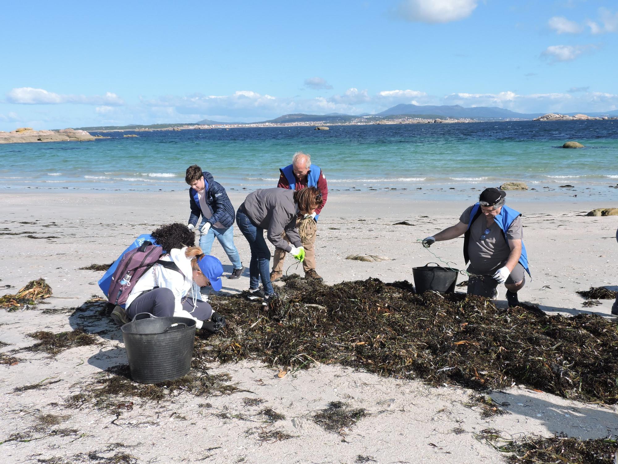 Así luchan los voluntarios de Abanca contra la basura marina y las plantas invasoras en la isla de Sálvora.