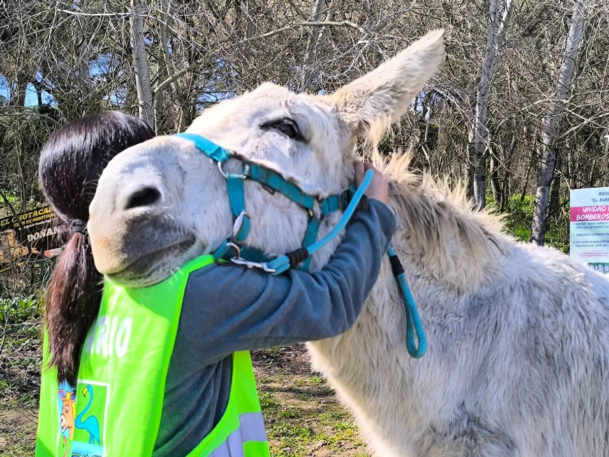 Una de las cuidadoras de los burros bomberos, con uno de los animales