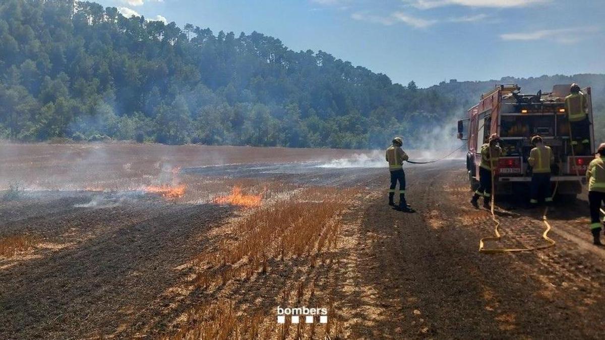 Els Bombers han pogut extingir les flames d'un camp a Clariana de Cardener