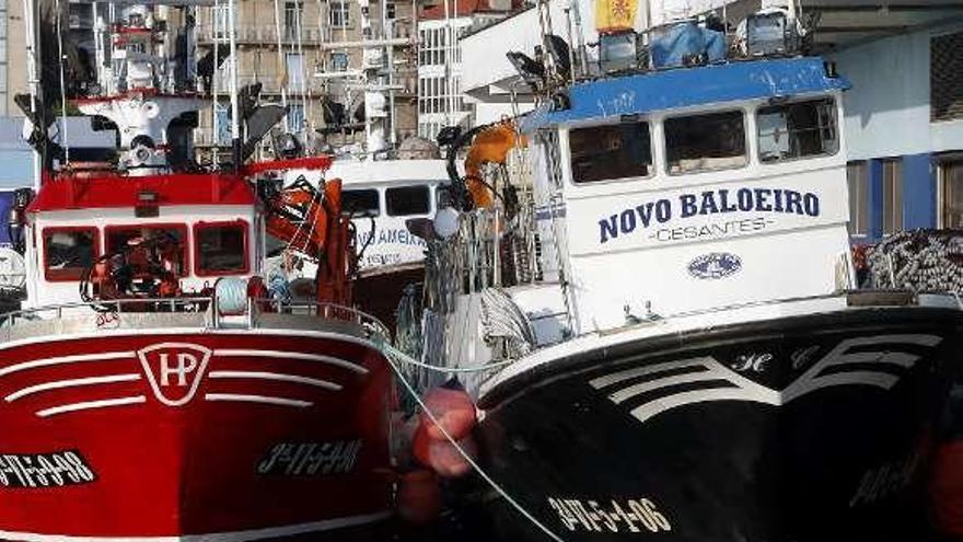 Barcos del cerco en el puerto de Vigo. // Marta G. Brea