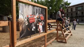El National Geographic se fija en esta fiesta gallega con 708 años de historia: se celebra en este pueblo medieval