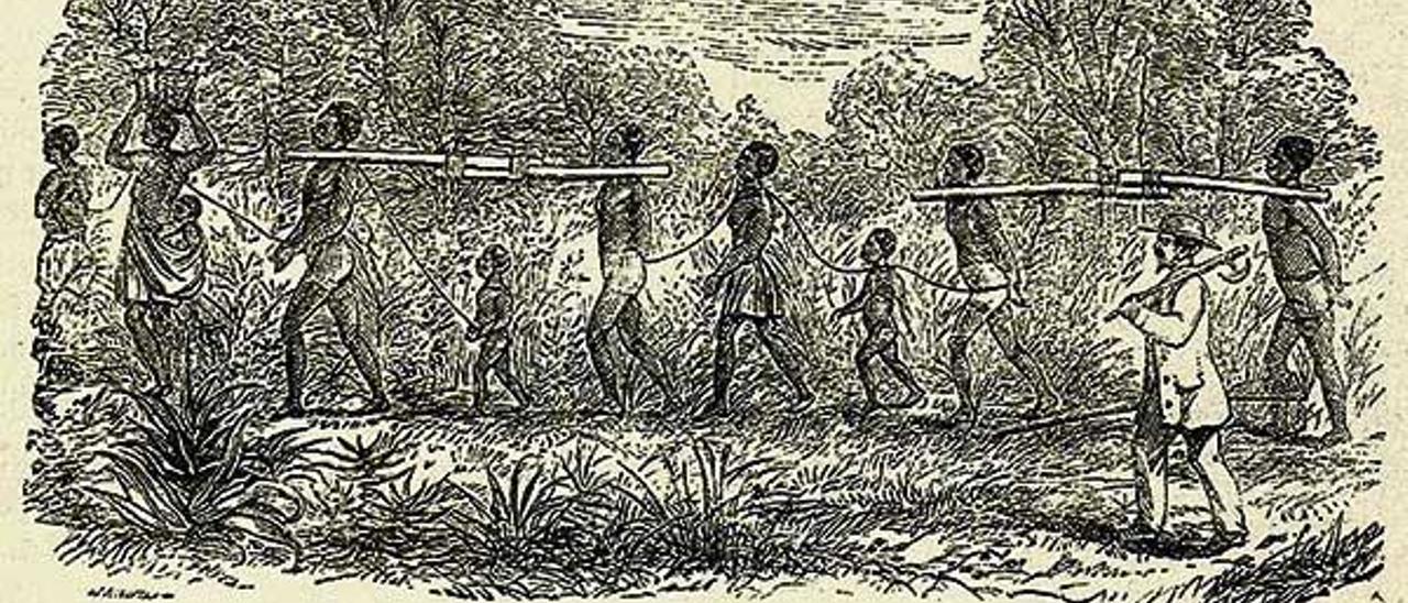 Ilustración de un grupo de esclavos siendo trasladados en África en el siglo XIX. // William Rednbacher (Wikimedia Commons)