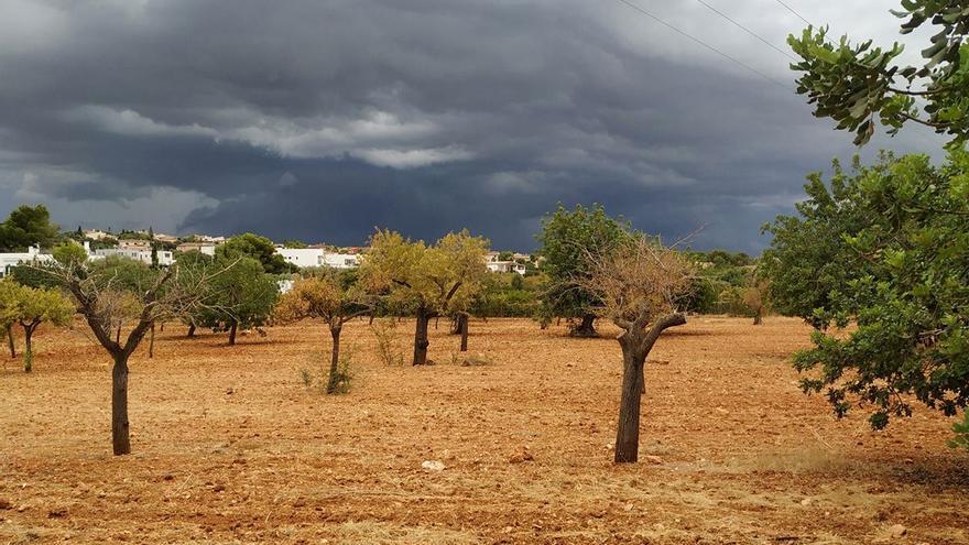 Mallorca Wetteraussichten: Sonnige Tage und leichte Regenschauer in Marratxí (16.4.2024)